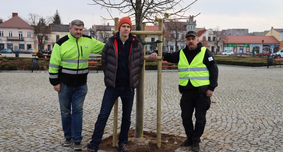Akcja „888 drzew dla Łowicza”. Na Nowym Rynku zasadzono ostatnie drzewo (film)