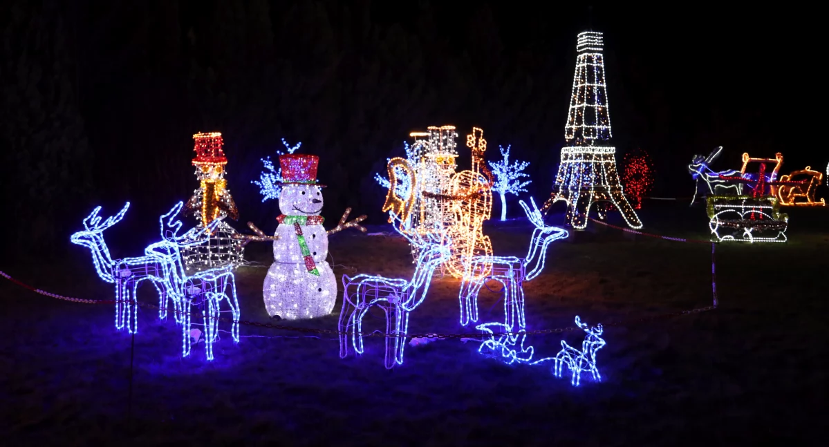 Łowicz. Rozbłysły świąteczne iluminacje na ul. Małszyce (foto)