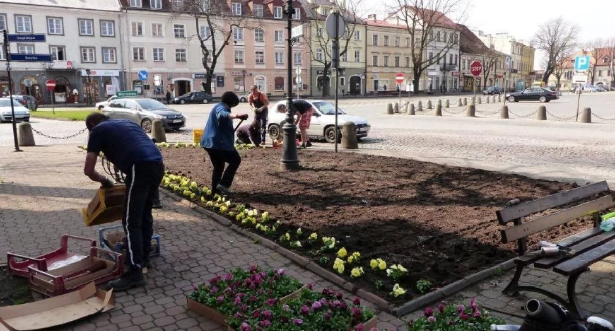 Przetarg rozstrzygnięty. Ponad pół miliona na utrzymanie miejskiej zieleni