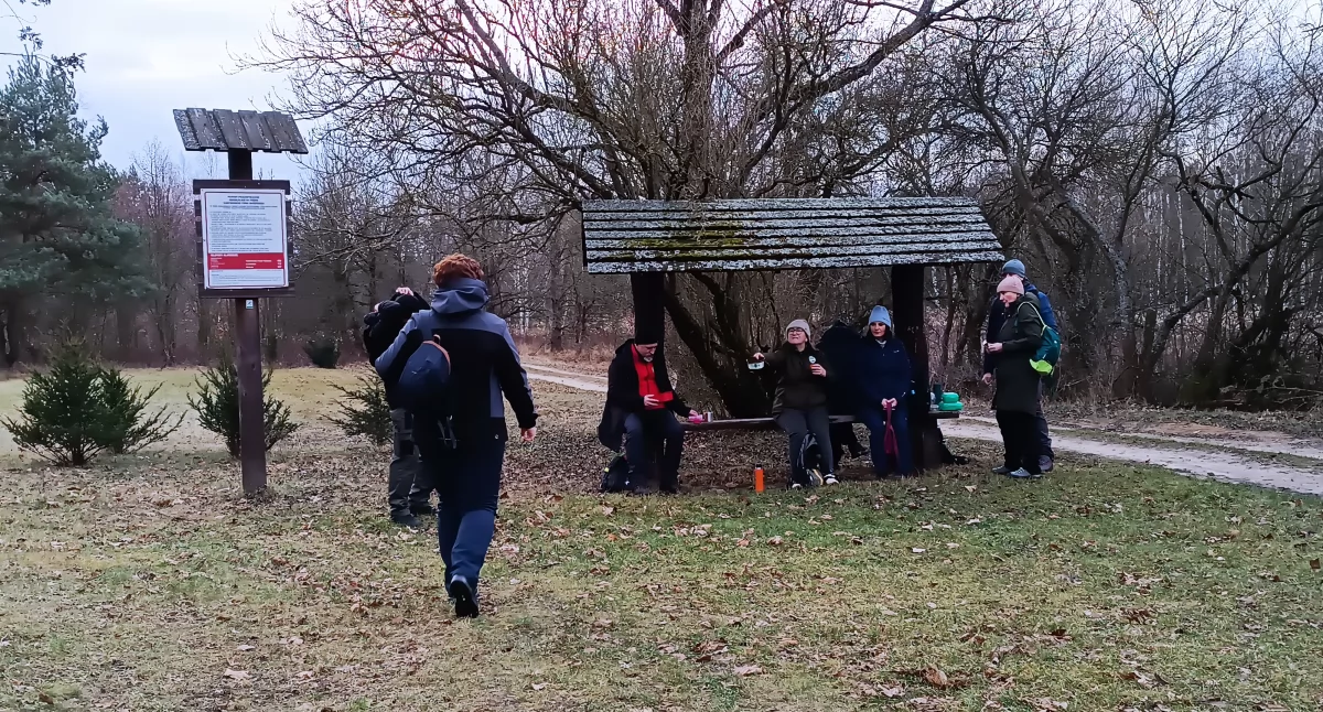 Noworoczny spacer po Puszczy Kampinoskiej (foto)