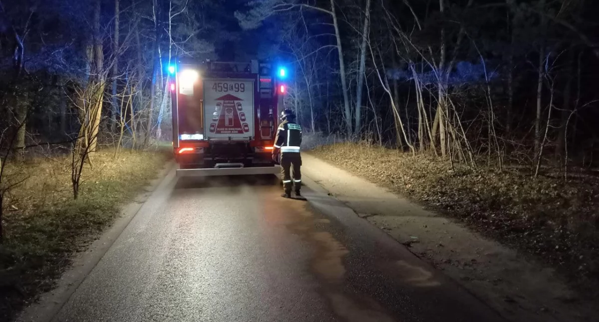Pod Łowiczem strażacy usuwali plamę oleju 