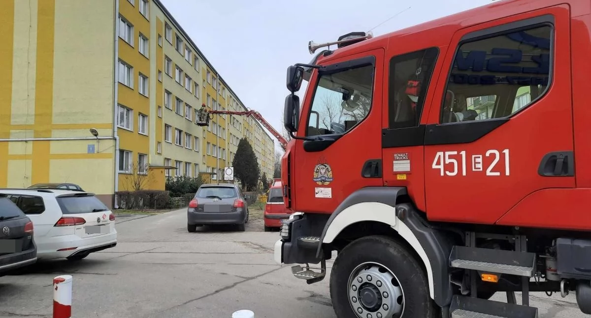 Pracownicy MOPS zaalarmowali straż. Tragiczne zakończenie interwencji (foto,film)