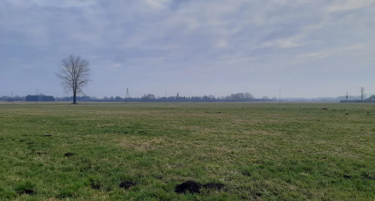 Na Przedmieściu stanie maszt sieci Play? Mieszkańcy są przeciwni, wkrótce zapadnie decyzja