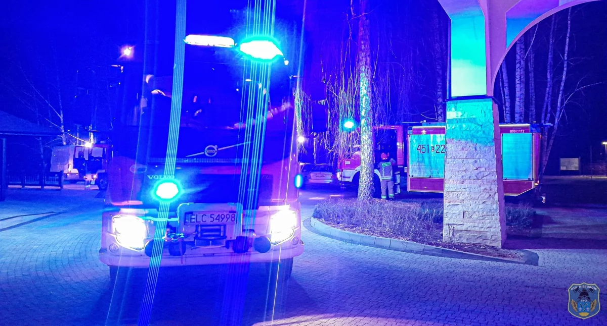 Interwencje straży w gminie Nieborów i w Łowiczu