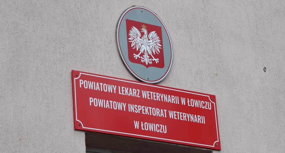 Ptasia grypa coraz bliżej powiatu łowickiego. Ostrzeżenie dla hodowców drobiu