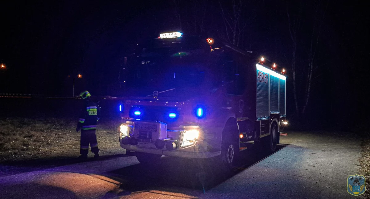 Pożar trawy przy autostradzie A2