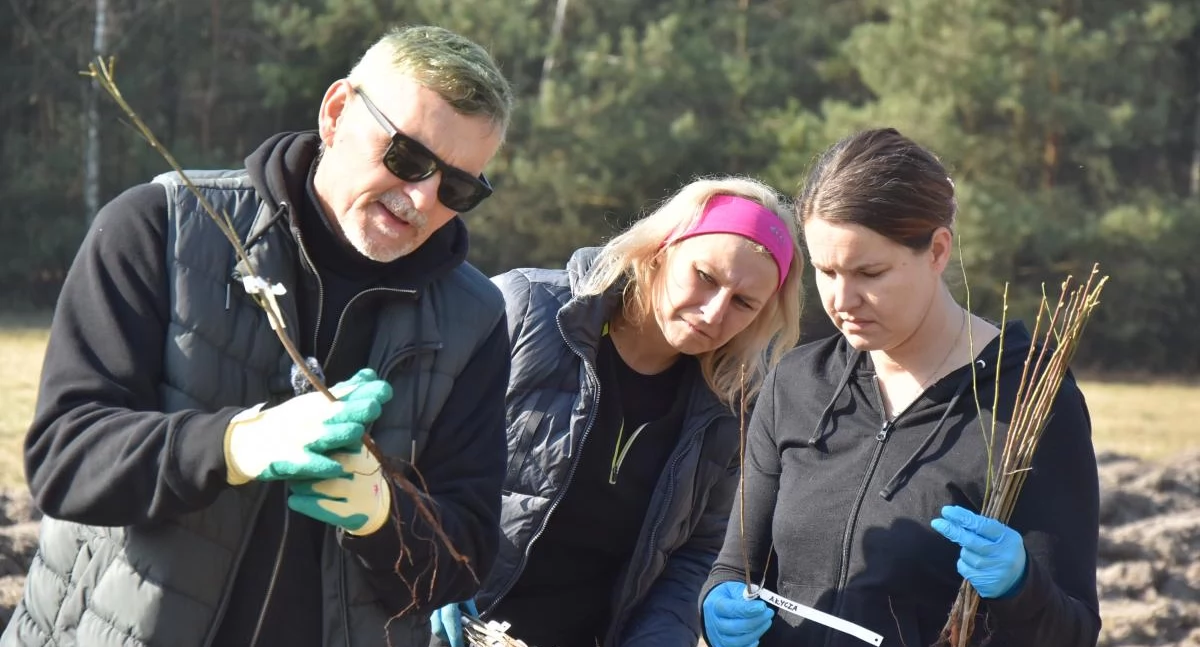  Fundacja Prolas sadzi drzewa w Lasku Miejskim (foto, film)