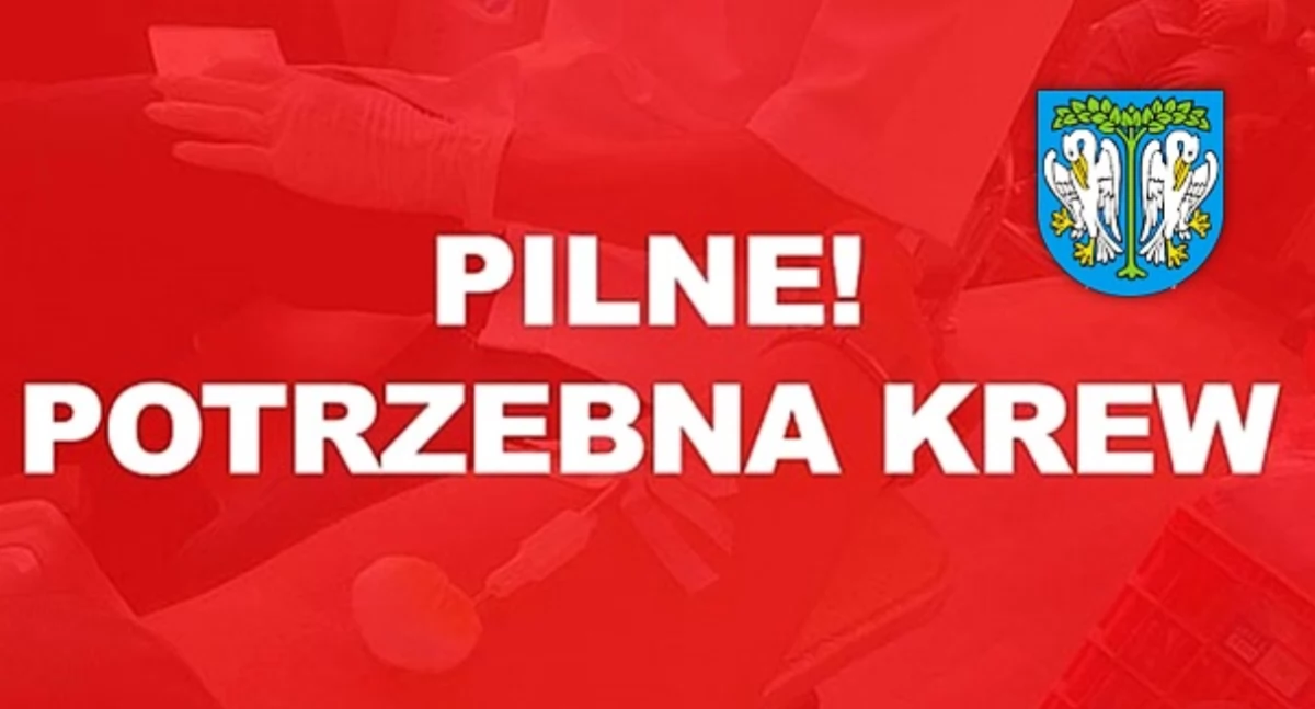 Łowicz jednoczy siły! Jutro zbiórka krwi dla 17-letniego Macieja