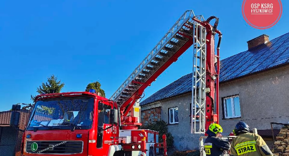Interwencja strażaków w Łyszkowicach