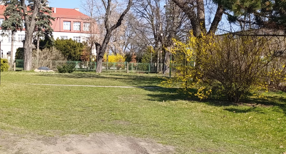 Działka w Łowiczu na sprzedaż. Decyzja Rady Powiatu zapadła
