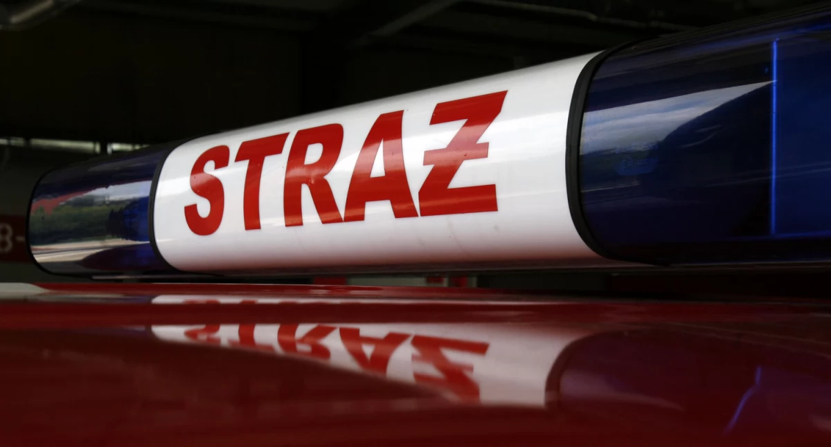 Powalone drzewa i uszkodzone dachy. Kilkanaście interwencji strażaków w powiecie łowickim