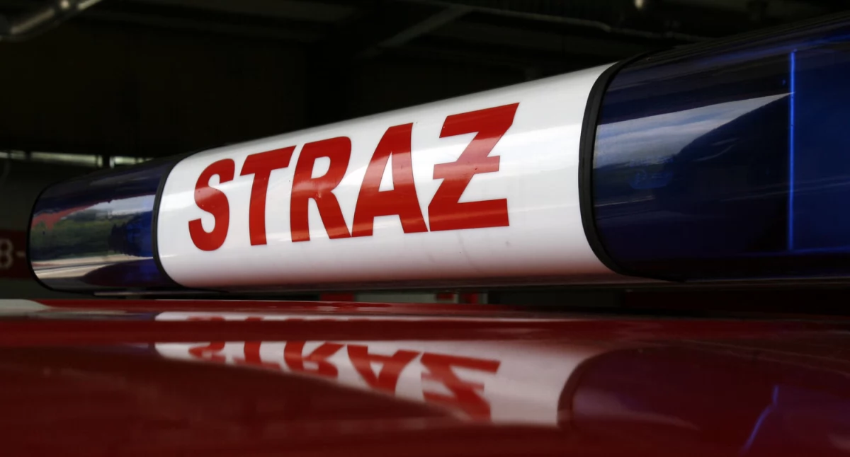 Pożary traw i nieużytków w powiecie łowickim. Pięć interwencji strażaków jednego dnia
