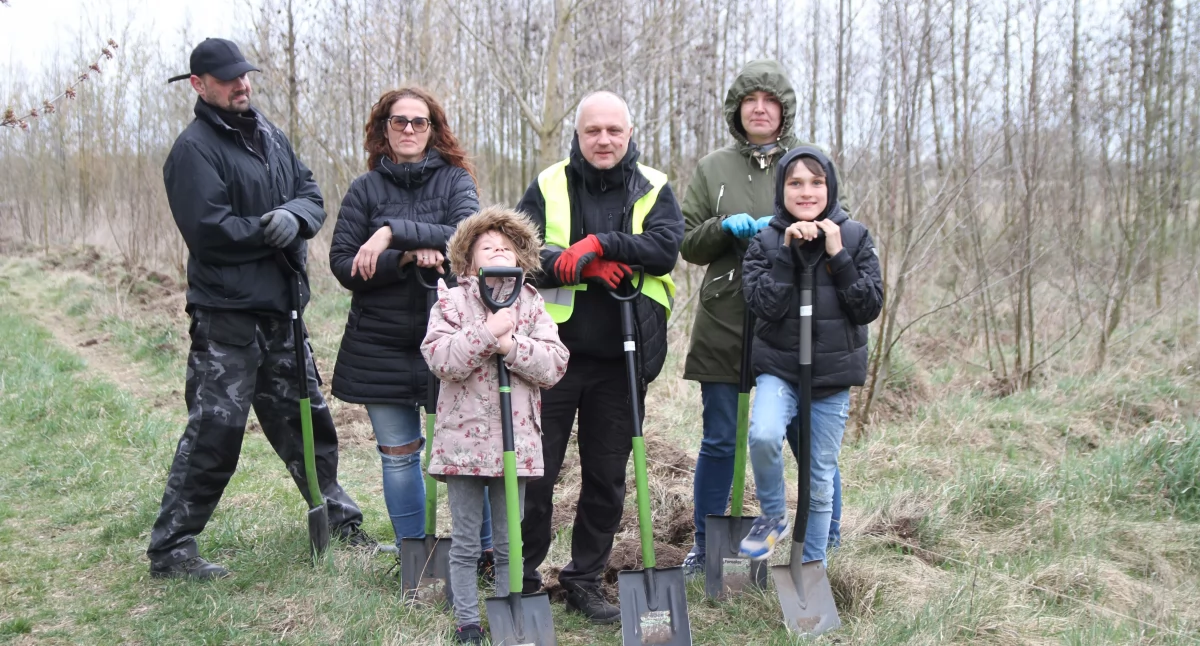 Pod Łowiczem stawiają ogrodzenie, które ma ochronić młody las przed bobrami (foto)