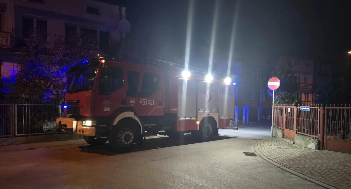 Pożar sadzy w kominie, wypalanie traw - 12 kwietnia pełen pracy dla strażaków (foto)