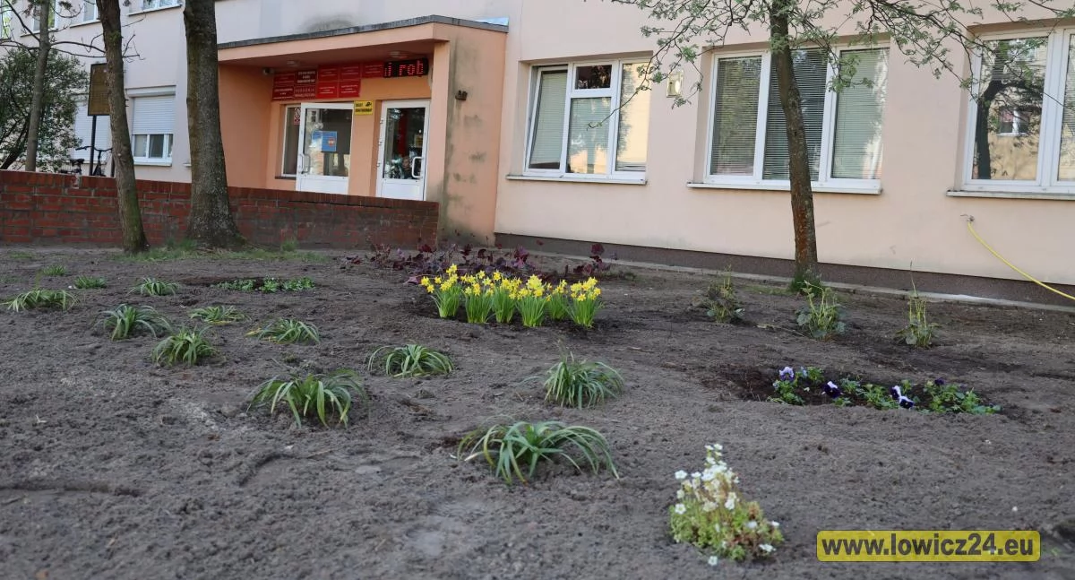 Trwa metamorfoza otoczenia łowickiego szpitala (foto)