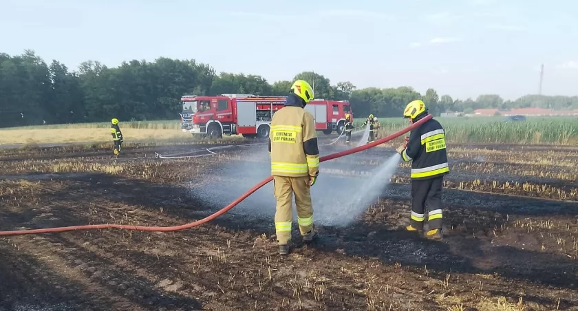 Seria pożarów w powiecie łowickim. Strażacy apelują o ostrożność podczas żniw