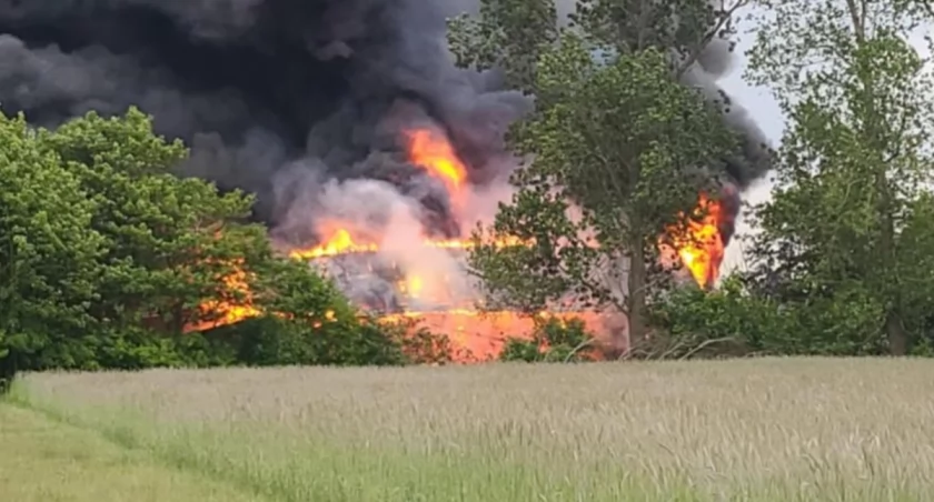 Kolejny pożar lasu w Popowie! Służby nie wykluczają podpalenia