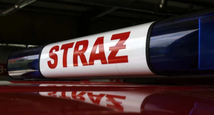 Łowicz i okolice. Plamy oleju na drodze krajowej nr 14