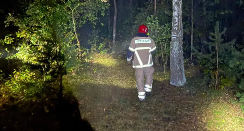 Nocne poszukiwania nastolatka w Łowiczu zakończone nad ranem