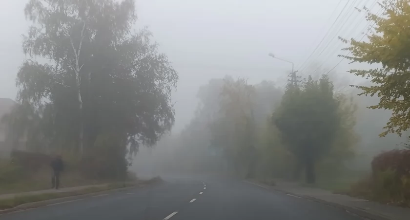 Trudne warunki na drogach powiatu łowickiego. IMGW wydał ostrzeżenie przed mgłą