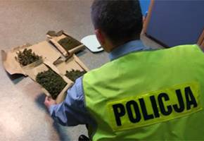 Marihuana i amfetamina w Mysłakowie