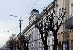 Przycinają, wycinają, pielęgnują