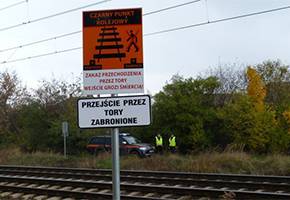 Czy tablice przy dzikich przejściach odstraszą pieszych?