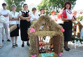 Dożynki w Katedrze 