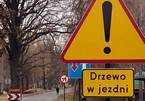 Na tropie absurdów - KONKURS