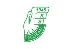 Brawo Pelikan!