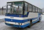 Autobus potrącił pieszą