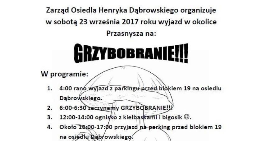 Zarząd osiedla Dąbrowskiego zaprasza na... grzybobranie