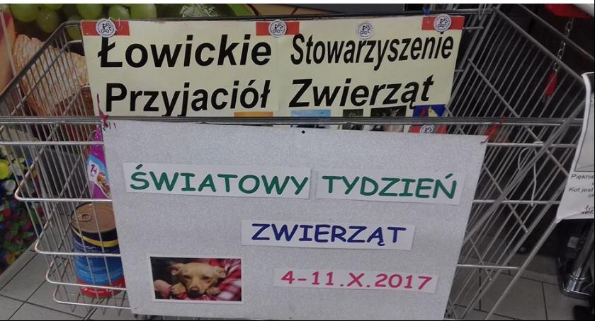 Miłośnicy zwierząt organizują zbiórkę karmy