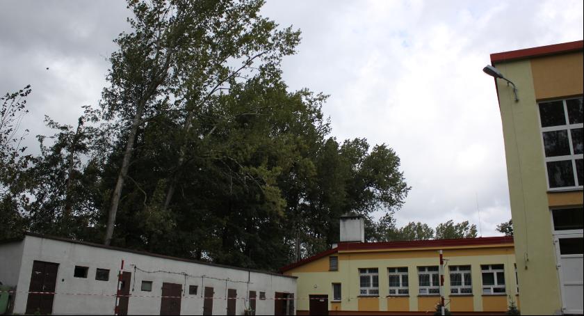 Potężne topole chwieją się nad szkołą w Dąbkowicach Dolnych. Ewakuowano małe dzieci