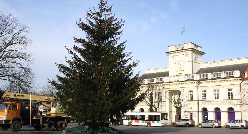Na starówce i trójkątnym rynku stoją już choinki