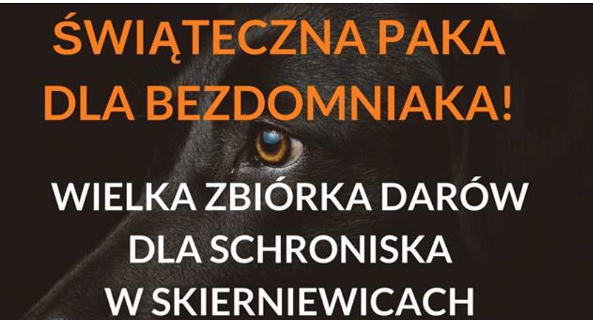 Zbiórka dla zwierząt ze skierniewickiego schroniska