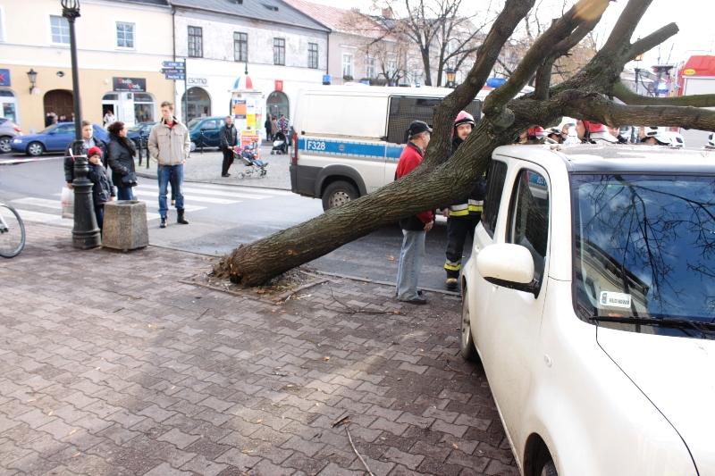 Tir przewrócił drzewo na 