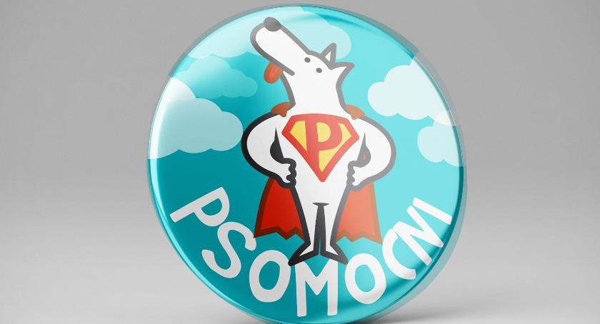 Akcja „Psomocni”. Wrzuć do pudła dary dla potrzebujących czworonogów