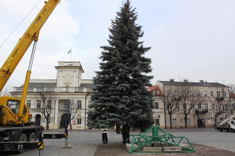 Jest już choinka na Starym Rynku