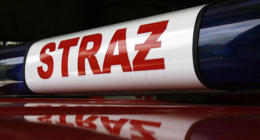 Osobówka zderzyła się z sarną pod Łowiczem. Zwierzę padło