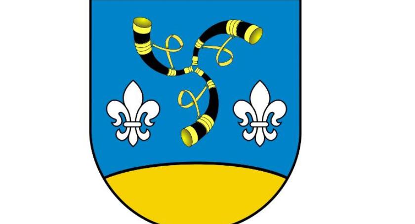 Gmina Nieborów ma nowego wójta. Kto otrzymał mandat radnego?