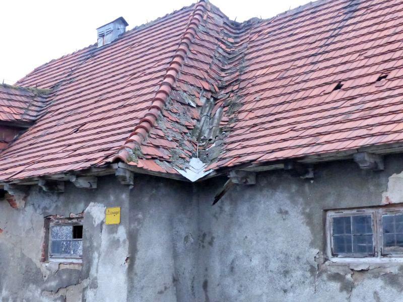 Firma z Kutna przygotuje projekt przebudowy stajni na Blichu