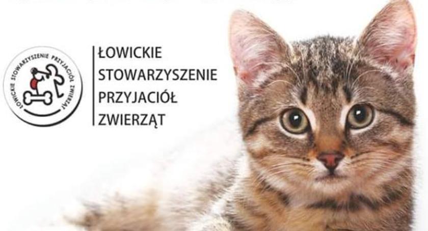 „Nie odwracaj kota ogonem”. Akcja miłośników zwierząt z Łowicza