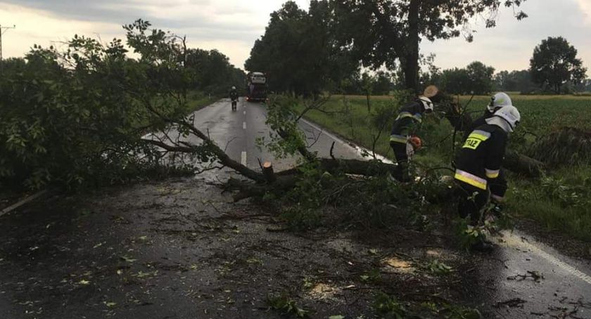 Burze w powiecie łowickim. Najwięcej interwencji było w gminie Domaniewice