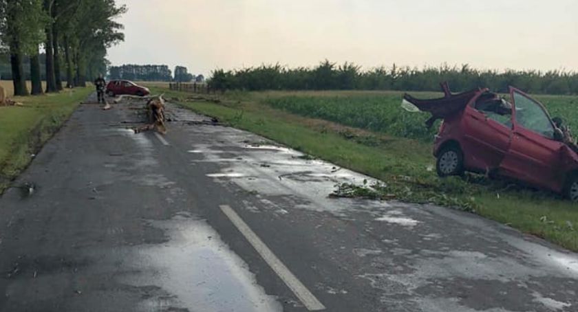Nawałnica w Łowickiem. Drzewo spadło na jadące auto, dwie osoby zostały ranne