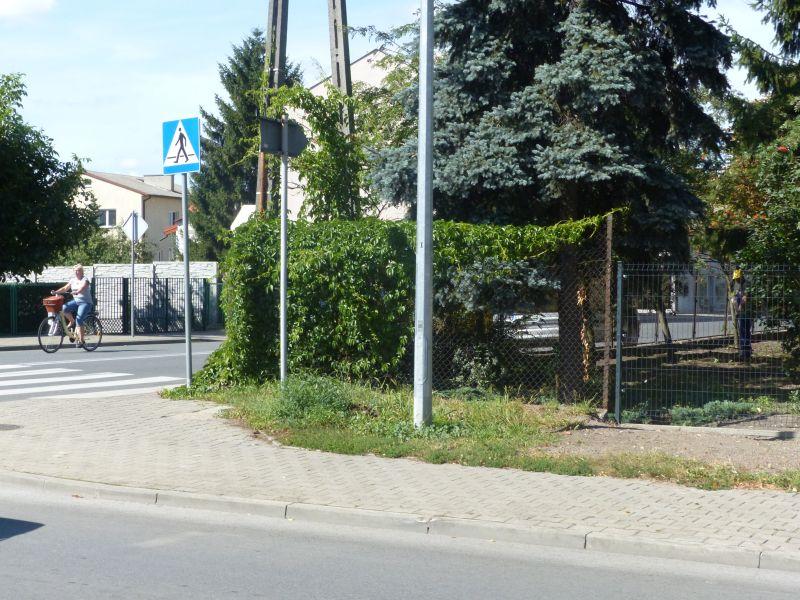 W rogu działki I LO powstanie 