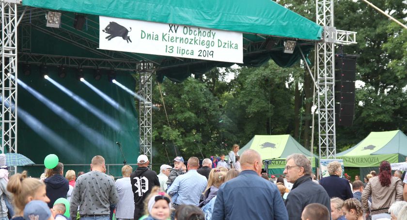 Dzień Kiernozkiego Dzika (FOTO+VIDEO)