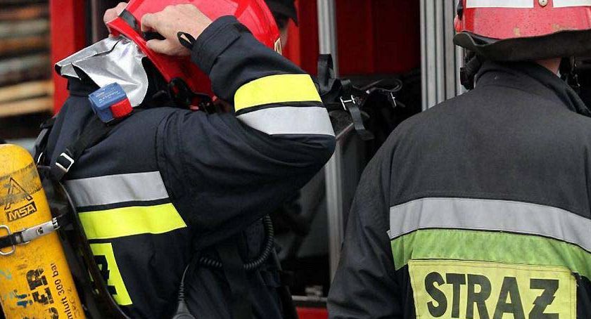 Łowiccy strażacy uratowali psa, który wpadł do studni