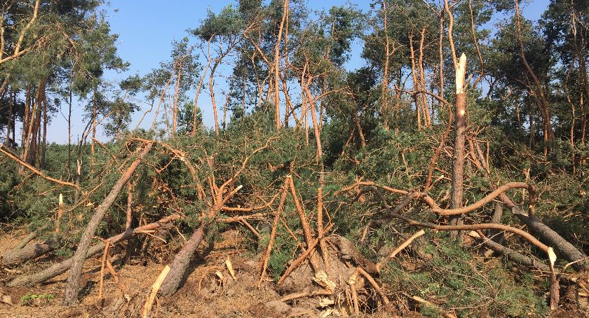 Skutki środowej nawałnicy w powiecie łowickim (FOTO+VIDEO)