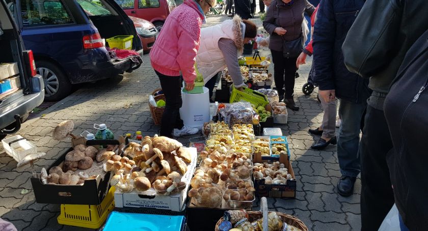 Wysyp grzybów na łowickim targowisku